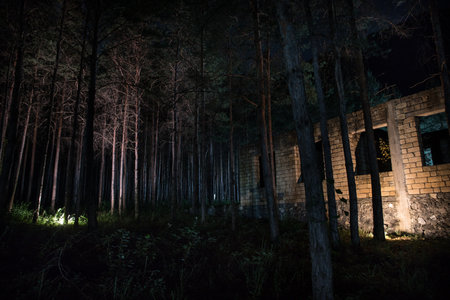 Old abandoned building in forest, Facade ruins of industrial factory. Spring long pine forest at nightの写真素材