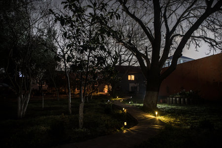 Old house with a Ghost in the forest at night or Abandoned Haunted Horror House in fog. Old mystic building in dead tree forest. Trees at night with moon. Surreal lights. Horror Halloween conceptの写真素材