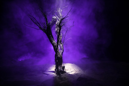 Silhouette of scary Halloween tree on dark foggy toned background with moon on back side. Scary horror winter dead forest at night. selective focusの写真素材