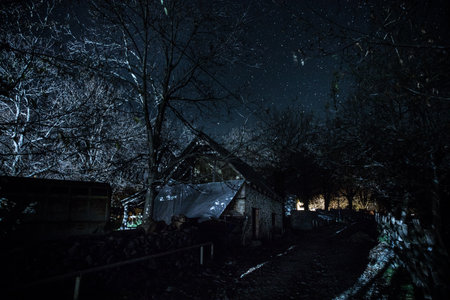 Embrace the eerie ambiance of a moonlit night as an ancient, haunted mansion emerges from the dense, mist-covered forest, surrounded by the whispers of the dead treesの写真素材