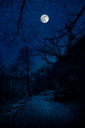 Mountain Road through the forest on a full moon night. Scenic night landscape of country road at night with large moon. Azerbaijan natureの写真素材