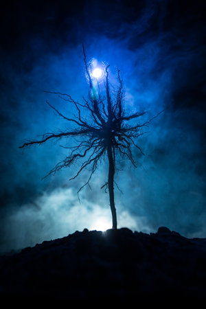 Silhouette of scary Halloween tree on dark foggy toned background with moon on back side. Scary horror winter dead forest at night. selective focusの写真素材