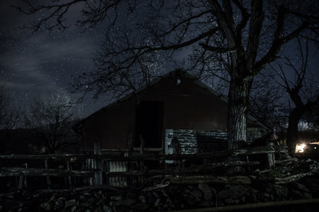 Embrace the eerie ambiance of a moonlit night as an ancient, haunted mansion emerges from the dense, mist-covered forest, surrounded by the whispers of the dead treesの写真素材