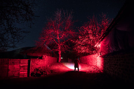Embrace the eerie ambiance of a moonlit night as an ancient, haunted mansion emerges from the dense, mist-covered forest, surrounded by the whispers of the dead treesの写真素材