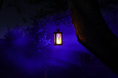 Beautiful colorful illuminated lamp in the garden in misty night. Retro style lantern at night outdoor. Selective focusの写真素材
