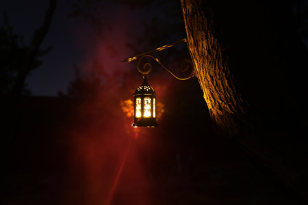 Beautiful colorful illuminated lamp in the garden in misty night. Retro style lantern at night...