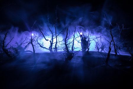 Spooky dark landscape showing silhouettes of trees in the swamp on misty night. Night mysterious forest in fire and dramatic cloudy night skyの写真素材