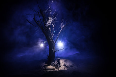 Silhouette of scary Halloween tree on dark foggy toned background with moon on back side. Scary...