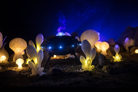 Abstract Miniature of Another Planet with Giant Glowing Mushrooms. A Nighttime Scene on an Alien World, Illuminated by the Soft Glow of Otherworldly Fungi. Selective focusの写真素材