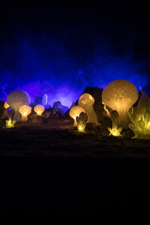 Abstract Miniature of Another Planet with Giant Glowing Mushrooms. A Nighttime Scene on an Alien World, Illuminated by the Soft Glow of Otherworldly Fungi. Selective focusの写真素材