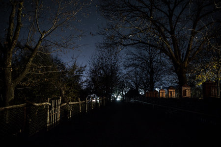 Embrace the eerie ambiance of a moonlit night as an ancient, haunted mansion emerges from the dense, mist-covered forest, surrounded by the whispers of the dead treesの写真素材