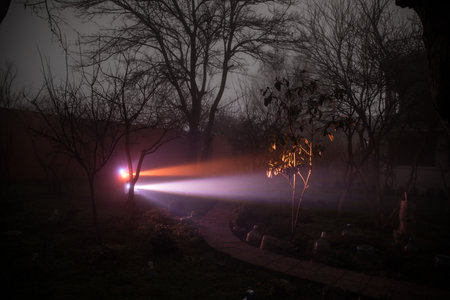 Mysterious pathway. Footpath in the dark, foggy, autumnal, mysterious forest. Long exposure shotの写真素材