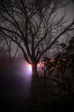 Mysterious pathway. Footpath in the dark, foggy, autumnal, mysterious forest. Long exposure shotの写真素材