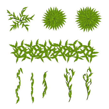 Cartoon nature elements, vector objects on white backgroundのイラスト素材