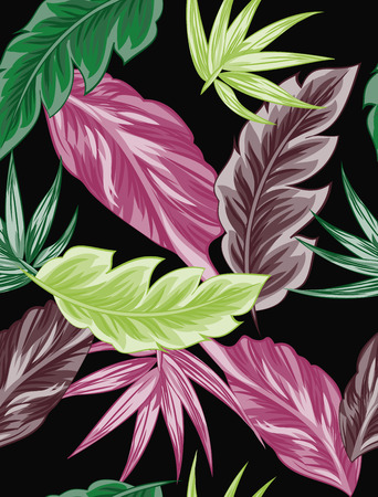 Tropical flowers, jungle leaves, bird of paradise flower.のイラスト素材