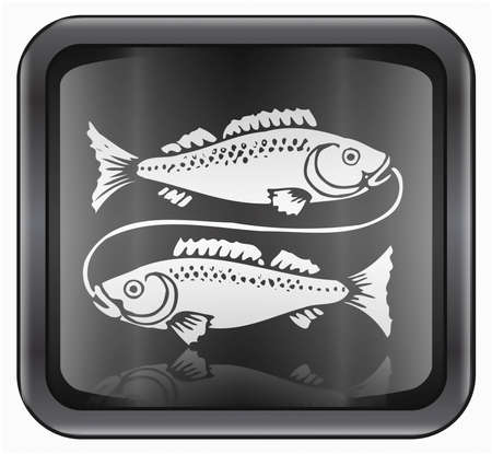 Pisces zodiac icon, isolated on white backgroundの写真素材