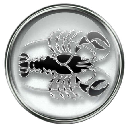 Cancer zodiac button icon, isolated on white background.の写真素材