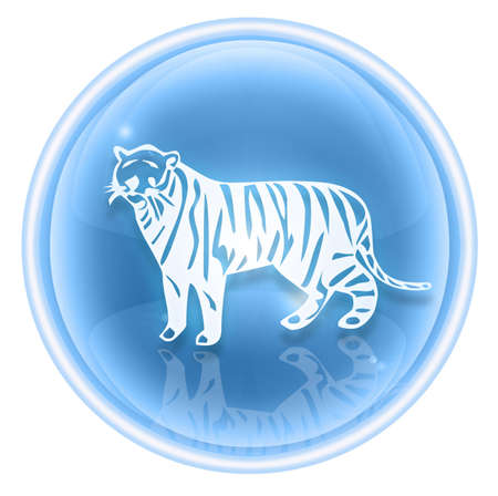 Tiger Zodiac icon ice, isolated on white background.の写真素材