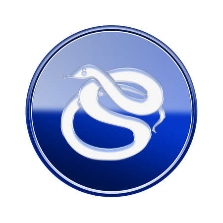 Snake Zodiac icon blue, isolated on white background.の写真素材