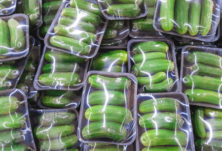 ripe cucumber in packageの写真素材