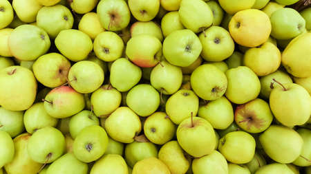 Green Apple Background, shallow depth of field.