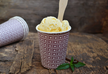 Delicate ice cream with vanillaの写真素材