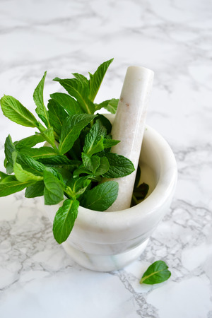 Large bundle of mint in mortar on a marble background, mint sauceの写真素材