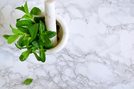 Large bundle of mint in mortar on a marble background, mint sauceの写真素材