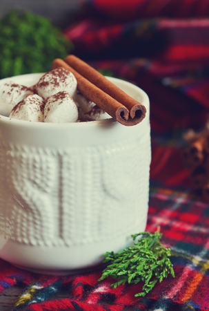 Winter drink - Hot chocolate with marshmallows and cinnamon, rustic. Christmas and a happy new year.の写真素材