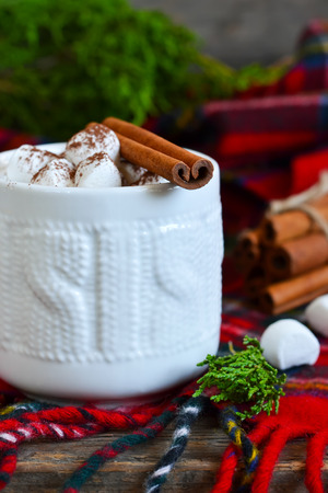 Winter drink - Hot chocolate with marshmallows and cinnamon, rustic. Christmas and a happy new year.の写真素材