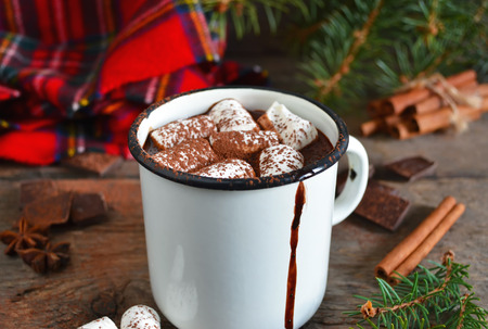 Hot chocolate with marshmallows and cinnamon, rusticの写真素材