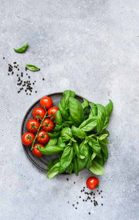 Fresh tomatoes and basil in a plate on a white concrete backgroundの写真素材