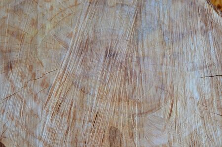 wood texture backgroundの写真素材