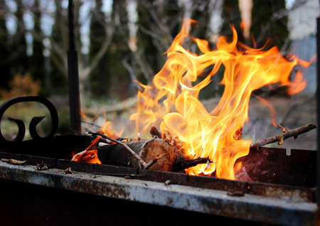 Beautifully burning dry firewood in wrought grill.