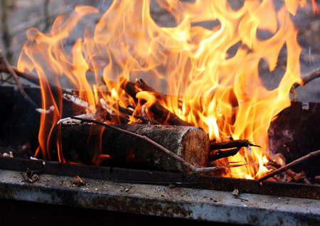 Beautifully burning dry firewood in wrought grill.
