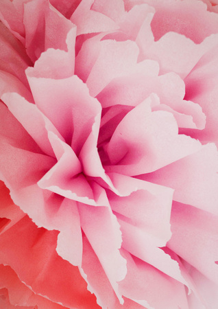 Flower of pink paper with large petals. Decorative flower.の写真素材