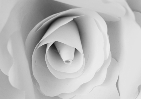 A large white flower made of paper. Decorative flower.の写真素材