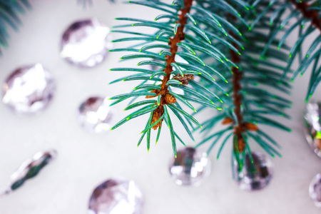 Blue spruce branch with crystals for decoration.