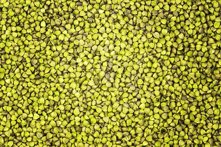 Dry seeds of buckwheat, texture of buckwheat, agricultural dried products, healthy food.の写真素材