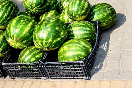 Halves of a large juicy ripe appetizing watermelon, close-up in the storeの写真素材