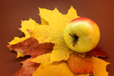 Autumn background, apple on yellow leaves, background and textureの写真素材