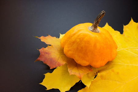 Pumpkin, watermelon and other autumn vegetables on a wooden backgroundの写真素材