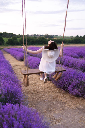 Girl on a swing in lavender in summerの写真素材