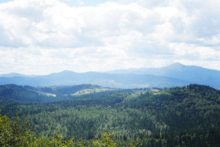 Expansive panoramic view of the Ukrainian Carpathian Mountains, featuring rolling green hills, dense forests, and a clear blue sky with white clouds. Ideal for nature, landscape, and travel themes.の写真素材