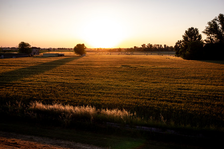 Sunset of the sun among the cultivated fields in the Emilia plains. Castelnovo di Sotto - Italyの写真素材