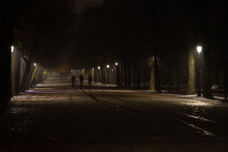 Tree-lined avenue at night in the Ducal park of Parma with snow and shadows. The street lamps illuminate the central street.の写真素材