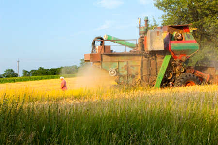 Harvesting in Ukraine combine harvester mows wheat in the field