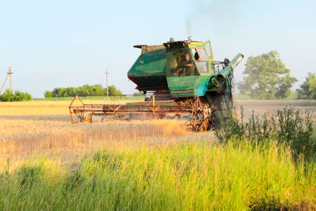 Harvesting in Ukraine combine harvester mows wheat in the field