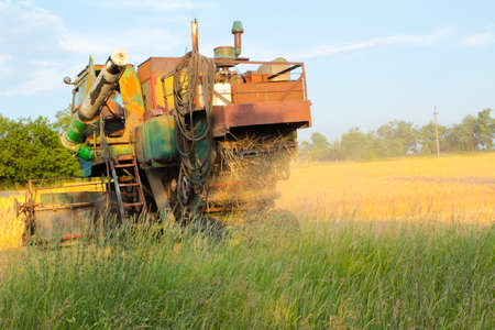 Harvesting in Ukraine combine harvester mows wheat in the field