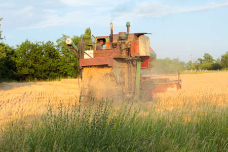 Harvesting in Ukraine combine harvester mows wheat in the field